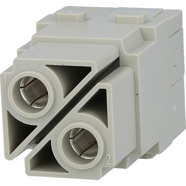 Inserto Per Presa 100A/10-25Qmm - Inserto Speciale Per Connettore 2P 09 14 002 2753-image