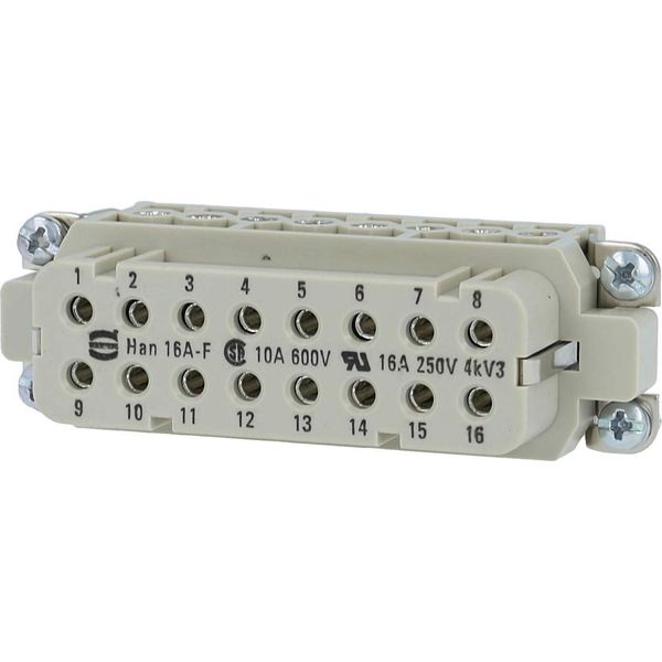 09200162812 Harting Han 16A Inserto Presa (F) A Vite, 16 Pin+Pe 250V, 16A - 1 Pz-image