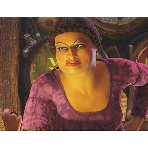 Pittura Da Numeri Con Telaio Pittura Shrek Doris 50X40 Cm-image