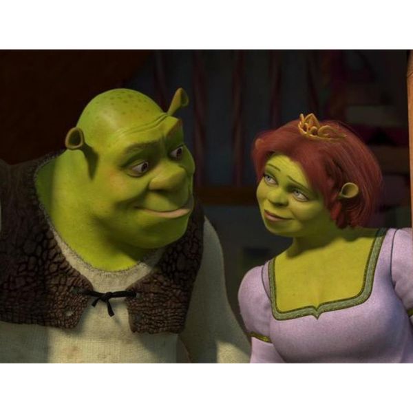 Pittura Da Numeri Con Telaio Quadro Shrek E Fiona 50X40 Cm-image