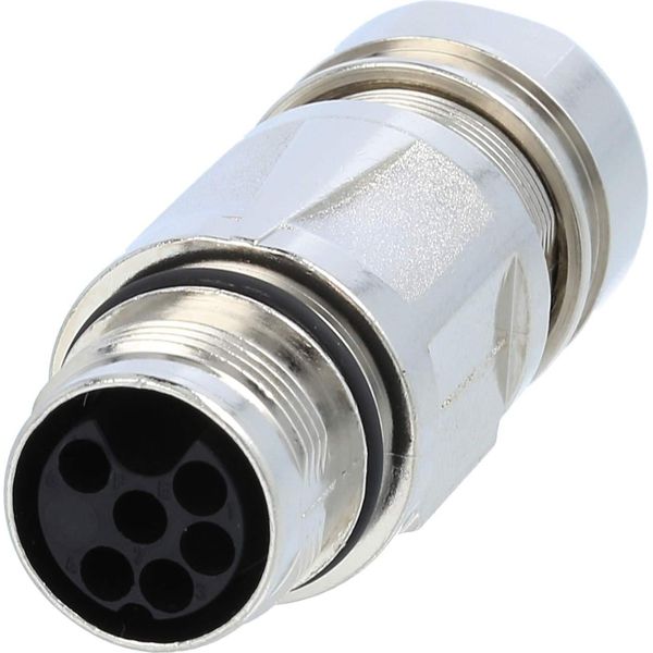 Connettore Femmina M17 Connessione A Crimpare Con Pin Dritto, Numero Di Poli 5+PE Uscita Cavo Dritta, Campo Di Serraggio 8,0Mm - 10,0Mm --image