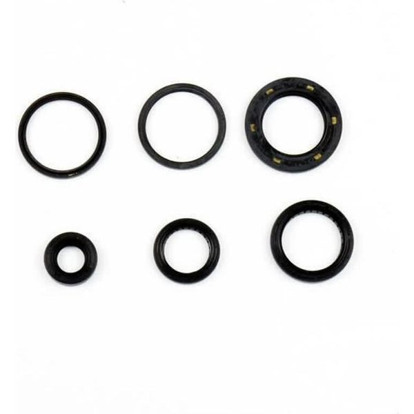 Kit Guarnizioni Paraoli Motore Athena P400210400307 Per Honda Nss 250-image