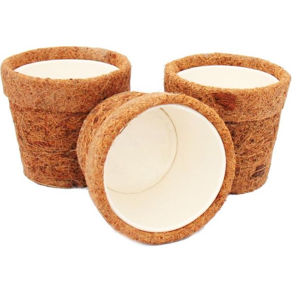 Kokodama - Vaso Per Piante Vuoto Da 10 Cm - Set Di 3 Pezzi-image