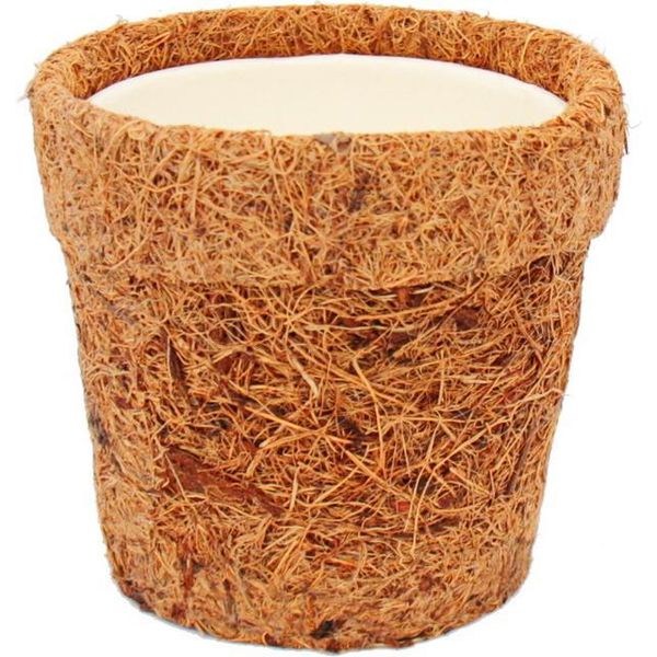 Kokodama - Vaso Vuoto Per Piante 10Cm-image