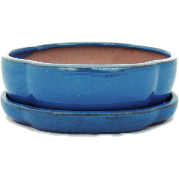 Ciotola Bonsai Con Piattino Gr. 3 - Blu - Haitang / Ovale - Modello I5 - L 17 Cm - P 14 Cm - H 5,5 Cm-image