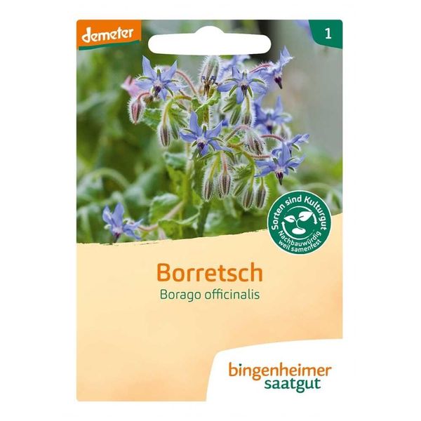 Borragine - Borago Officinalis-image
