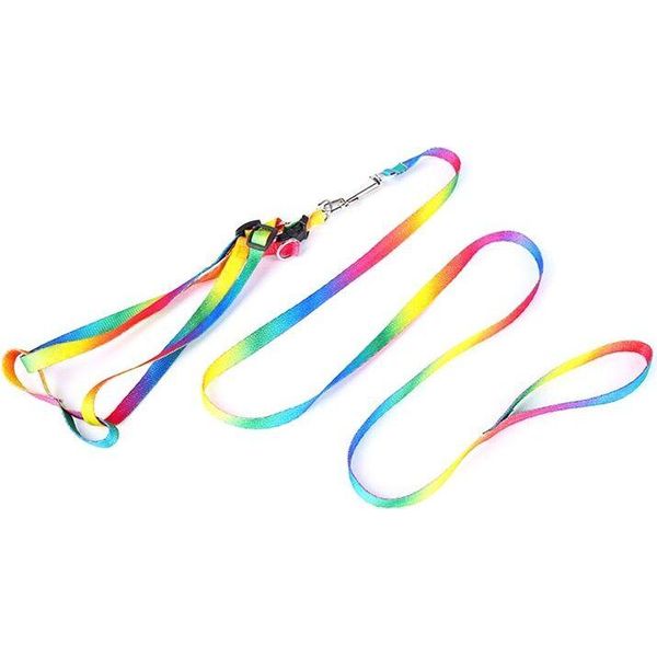 Pettorina Con Guinzaglio Per Cani E Gatti 150/2Cm Arcobaleno-image