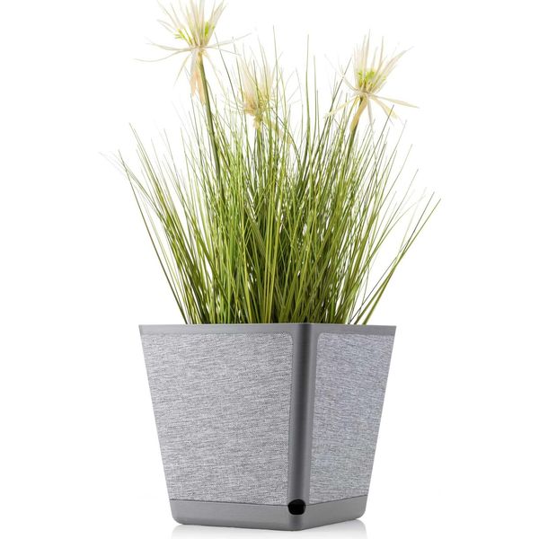 Howhomely | Fioriera - Pilea Texelle - 24X24 Cm - Grigio - Design Moderno - Con Misuratore Di Umidità E Sottovaso-image