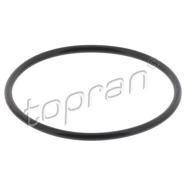 Topran 101 521 - Oe 069 121 043 Guarnizione, Pompa Acqua Per A6 (4A), T4-image