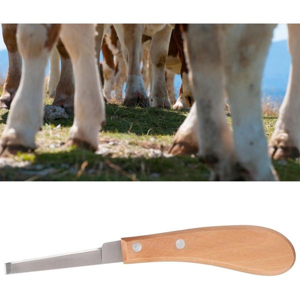 Attrezzo Per Rifilare Gli Zoccoli Acciaio Al Carbonio Con Lama Diritta Per Bovini E Cavalli (Mano Sinistra)-image