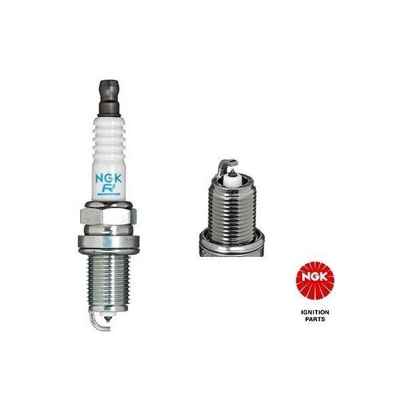 Ngk 5555 - Candela Oe 98079 5614H Per Legend Ii (Ka), Legend Iii (Ka), Almera Tino (V10), Maxima Qx V (A33), Primera (P11), Frontera B (U99)-image