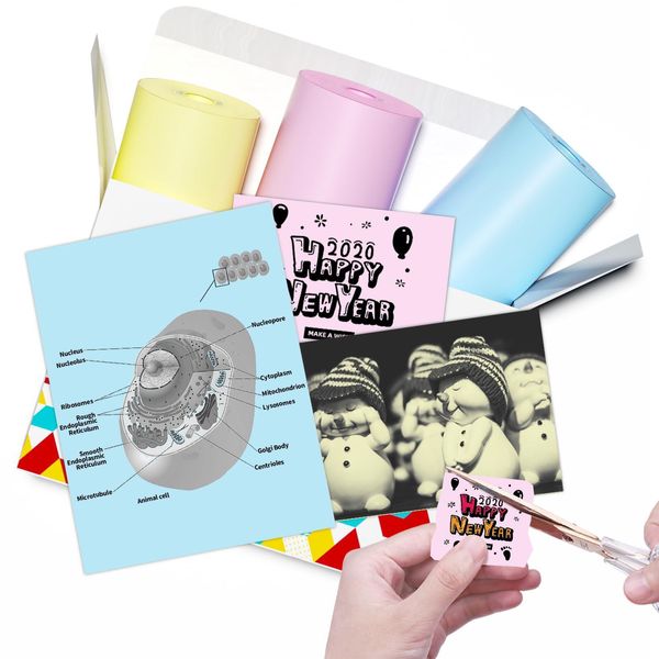 Phomemo T02 Mini Stampante Carta Carta Termica Non Autoadesiva Per Diari, Foto, Promemoria, Appunti, 5 Anni, 50 Mm*6,5 M, 3 Rotoli-image