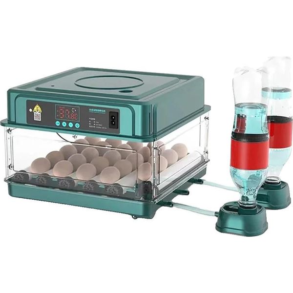 Incubatrice Per Uova, Controllo Automatico Della Temperatura, Distanza Regolabile, 24 Uova-image