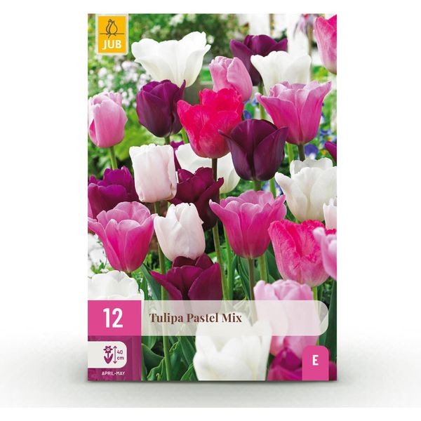 Bulbi Da Fiore Tulipa Pastel Mix - Vari Colori - 12 Pezzi - Bulbo Di Dimensioni 11/12 - Delicati Tulipani Pastello Per Giardino, Balcone E Terrazza - Fioriture Primaverili-image