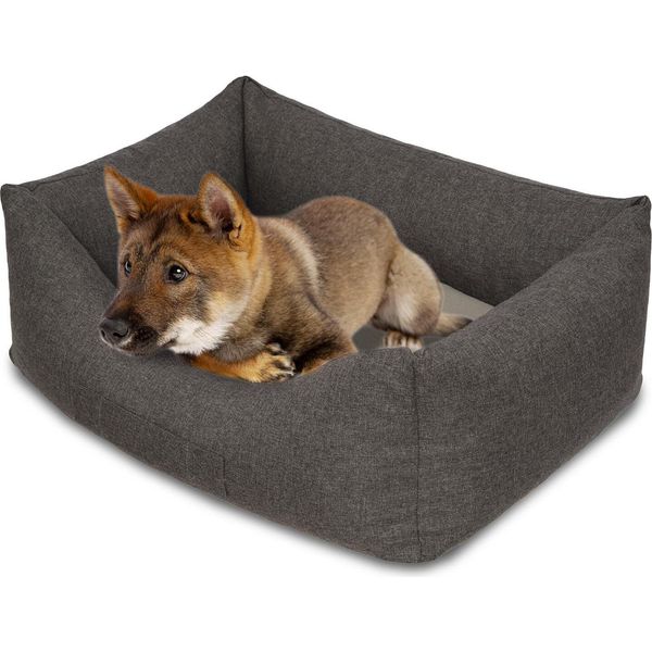 Lettino Per Cani Petzzz Lucky Xl 120 X 85 X 31 Cm Con Cuscino Interno Ortopedico-image