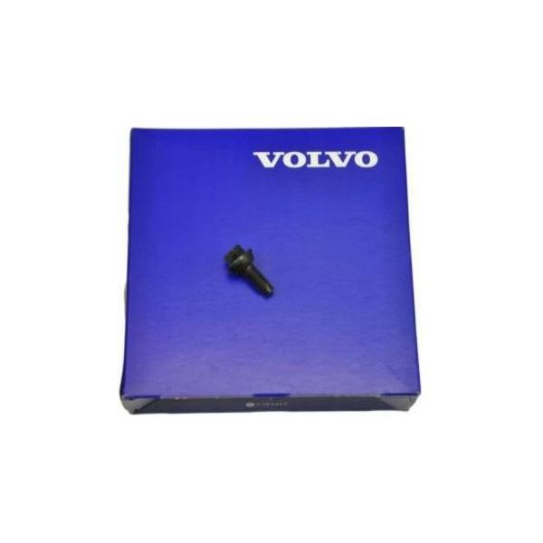 Volvo C30 C70 S40 V50 S80 Vite Cerniera Porta Oe-image