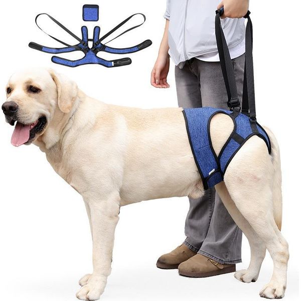 Inf Imbracatura Di Supporto Posteriore Per Cani - Aiuto Alla Mobilità Per Cani Anziani Xl-image