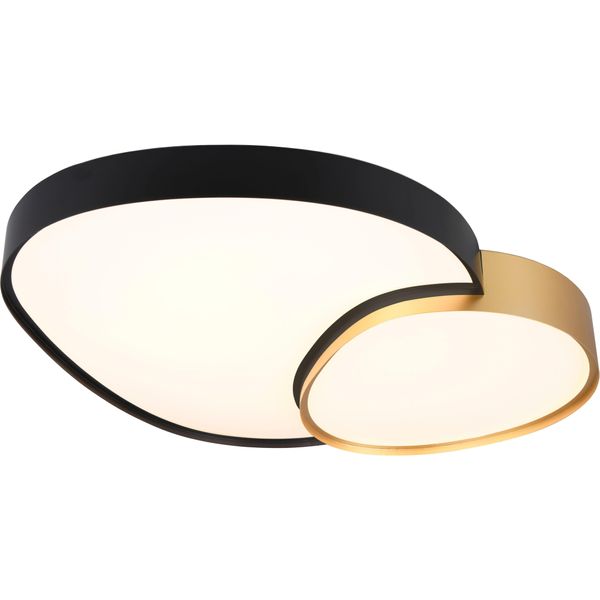 Trio Leuchten Led Deckenleuchte "Rise, Led Deckenlampe 45W 5300 Lumen Warmweiß Bis Kaltweiß 2700-6500K", Gold, 1, H: 11,5Cm, 1 Stk., Leuchten, Fernbedienung Dimmbar Memoryfunktion Nachtlicht Cct Lichtfarbe WäHlbar, Led Deckenleuchte-image