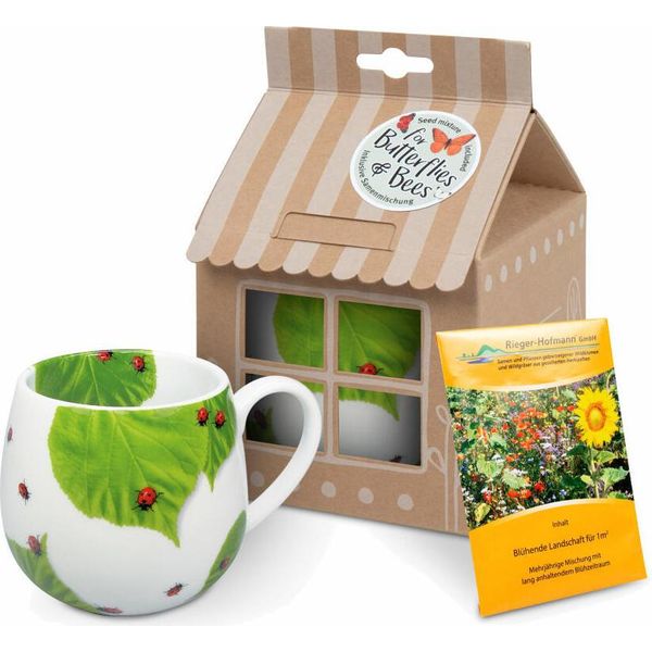 Tazza KöNitz Coccinella Su Foglie Con Sacchetto Di Semi In Confezione Regalo, Tazza, Porcellana, Colorata, 420 Ml, 11 5 000 0876-image