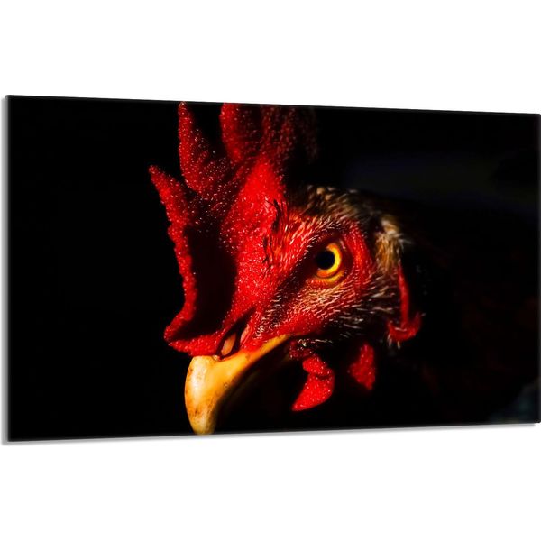Piastra Di Copertura Del Piano Cottura 80X52Cm Coperchio Del Piano Cottura In Ceramica 1 Pezzo Paraspruzzi, Nero Animale-image