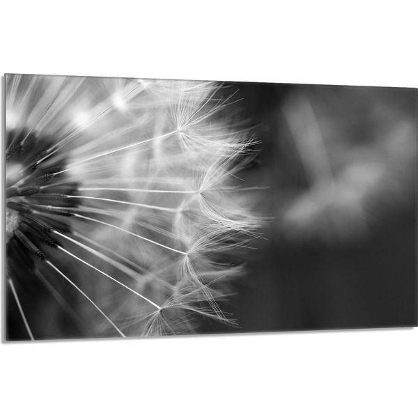 Piastra Di Copertura Del Piano Cottura 80X52Cm 1 Pezzo In Ceramica, Fiore Di Leone-image
