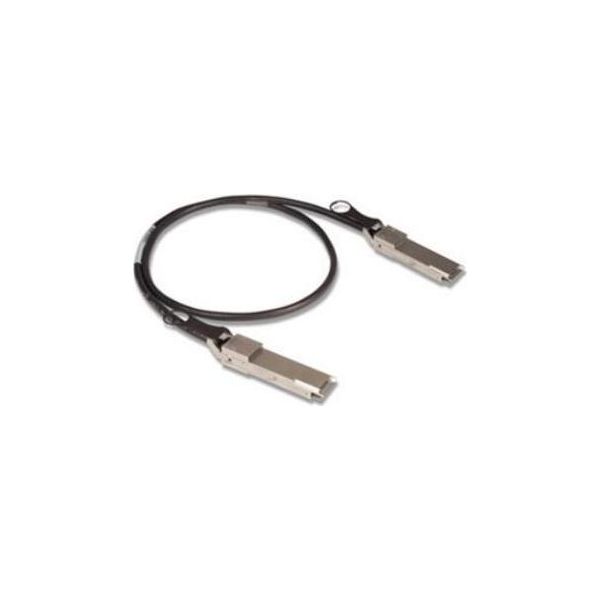 Extreme Networks 1M, Qsfp+ Cavo Infiniband E In Fibra Ottica Qsfp+ Nero-image