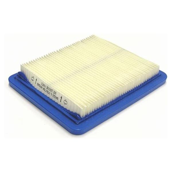 Filtro Aria Originale Briggs&Stratton Quantum 625 650 675 491588S-image