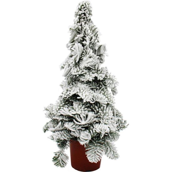 Albero Di Paraffina Abete Con Neve Decorazione Natalizia Composizione Di Abete Con Cera Per Esterni Alta 30 Cm-image