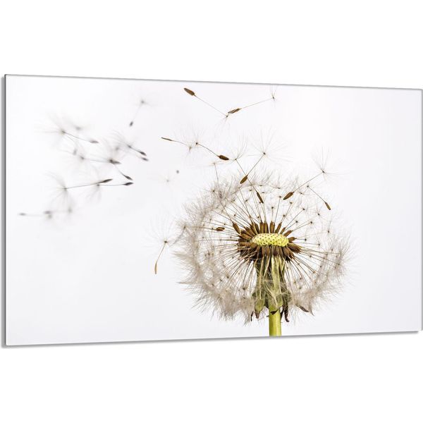 Piastra Di Copertura Del Piano Cottura 80X52Cm 1 Pezzo In Ceramica, Bianco Dente Di Leone-image