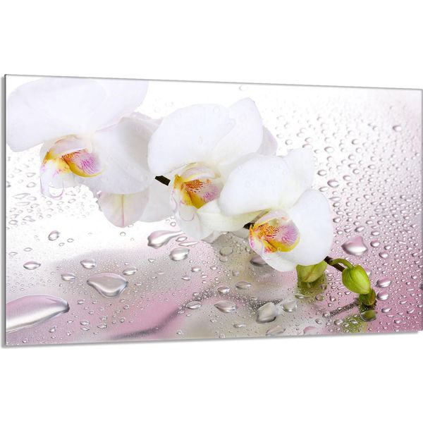 Piastra Di Copertura Del Piano Cottura 80X52Cm 1 Pezzo In Ceramica, Bianco Orchidea-image