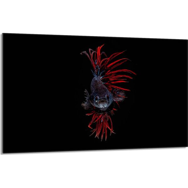 Piastra Di Copertura Del Piano Cottura 80X52Cm Copripiastra In Ceramica 1 Pezzo, Nero Pesce-image