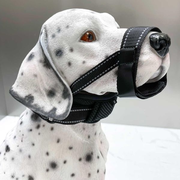 Inf Museruola Nera Per Cani Con Collare Regolabile - Anti-Morso E Anti-Abbaio M-image