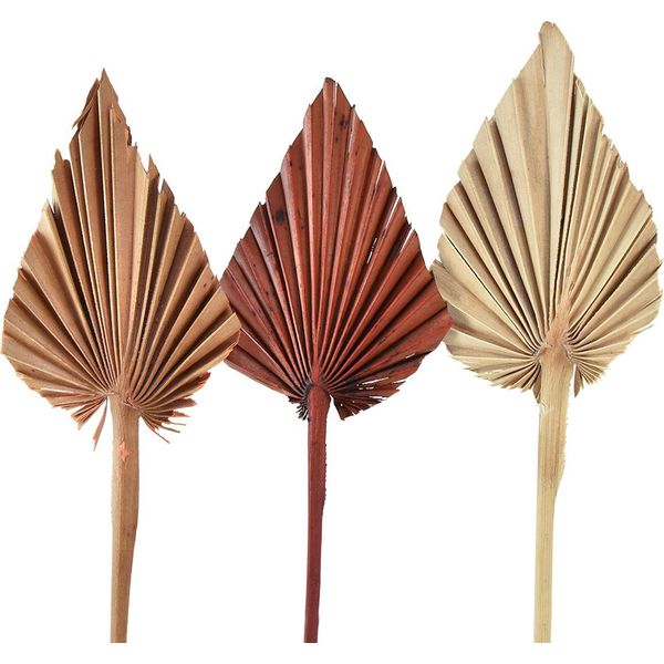 Palmspear Marocco Mix – 30 Pezzi Foglie Di Palma Decorative Per Decorazioni Funebri, Decorazioni Da Tavola, Natura, Arancione, Rosso, 30 Pezzi-image