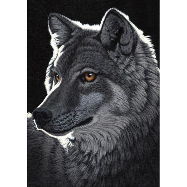 Grafika Puzzle Schim Schimmel - Lupo Notturno - 1000 Pezzi Puzzle-image