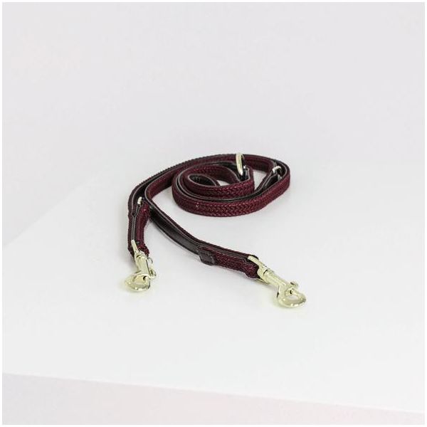 Guinzaglio Per Cani In Nylon Intrecciato Kentucky Dogwear 200 Cm Taglia L Bordeaux-image