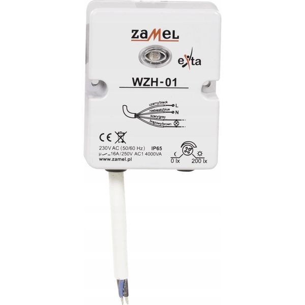 Interruttore Crepuscolare A Superficie Con Sensore 230V Ac IP65, WZH-01, Exta Zamel-image