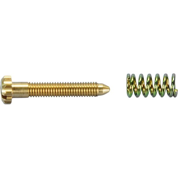 Vite E Molle Minimo Polini Carburatore Pwk 32/34-image