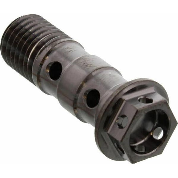 Bullone PRO-BOLT Banjo Doppio M10X1,25 Inox Va4 Racing Nero-image