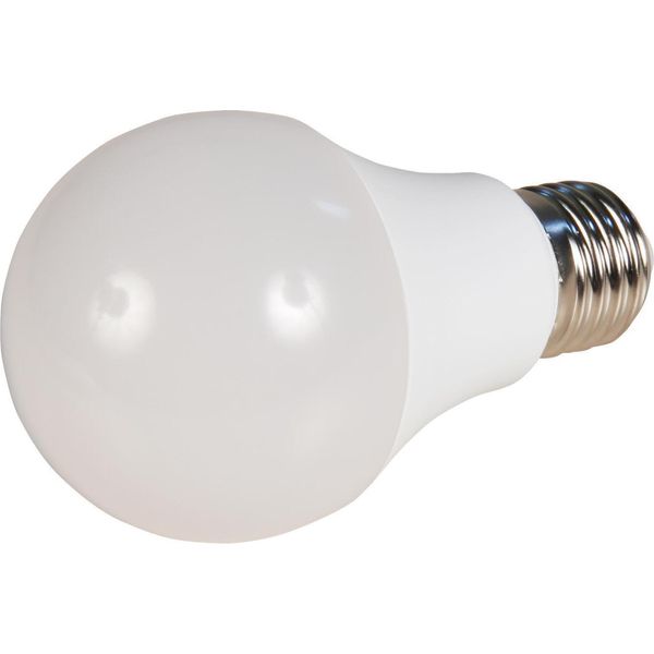 Spectrum Led Forma Della Lampadina 15W = 104W E27 Opaco 1600Lm Bianco Luce Diurna 6000K 270°-image