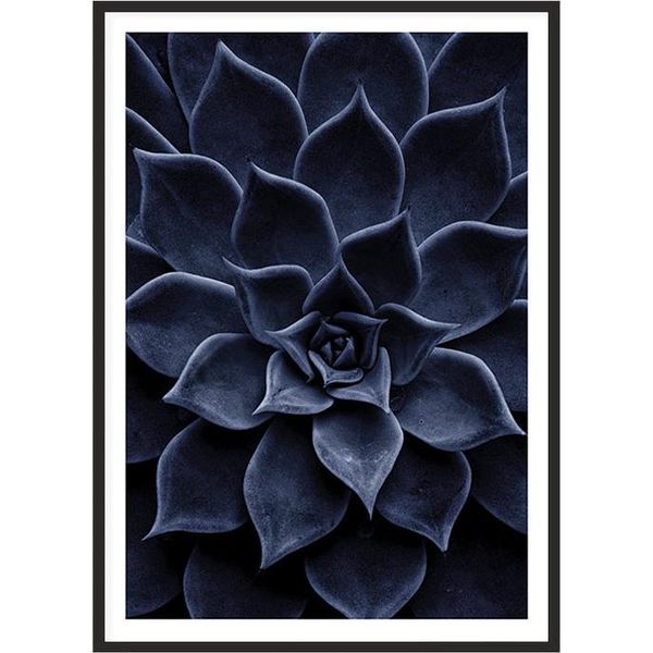 Immagine, Poster In Quadro 53X73 Cm Foglie P2011-image