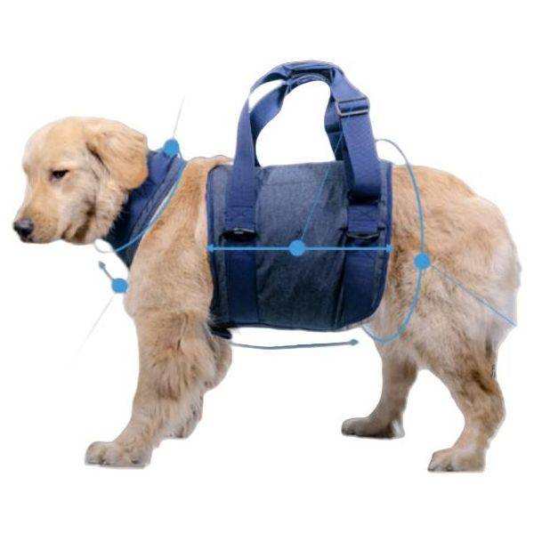 Inf Imbracatura Di Supporto Per Sollevamento Cani Anziani S-image