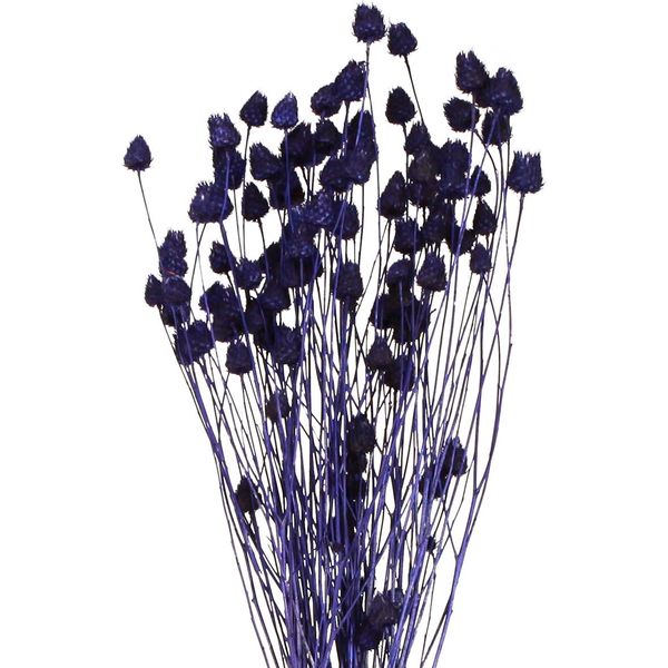 Cardi Di Fragola Fiori Decorativi Viola 44-58Cm 100G-image
