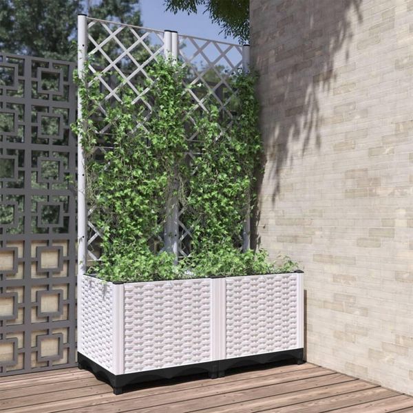 Maison Exclusive - Fioriera Da Giardino Con Graticcio Bianco 80X40X136 Cm Pp-image