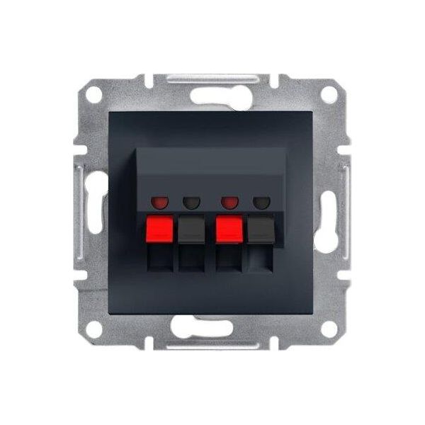 Connessione Per Altoparlanti A 2 Poli Senza Cornice, Antracite Schneider Asfora EPH5700171-image