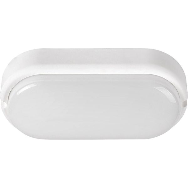 Rabalux 7408 Hort Plafoniera Per Esterni, 15W, 4000K, 1300Lm, Bianco, Bianco Neutro, 20Cm-image