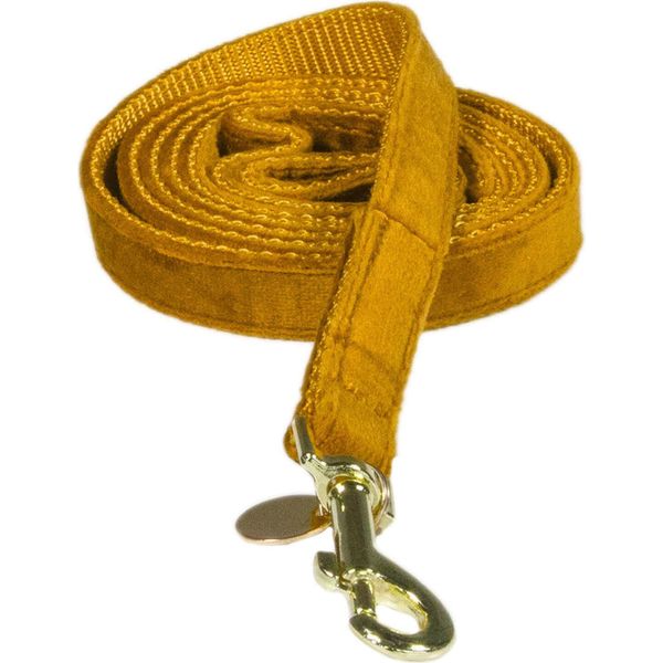 Kentucky Dogwear Guinzaglio In Velluto Per Cani 120 Cm Taglia S Giallo Senape S-image