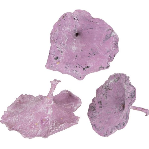 Kalix Funghi Decorativi Viola Bianco Slavato 100 Pezzi Per Decorazioni Autunnali Fiori Secchi Per Fioristi, 100 Pezzi-image