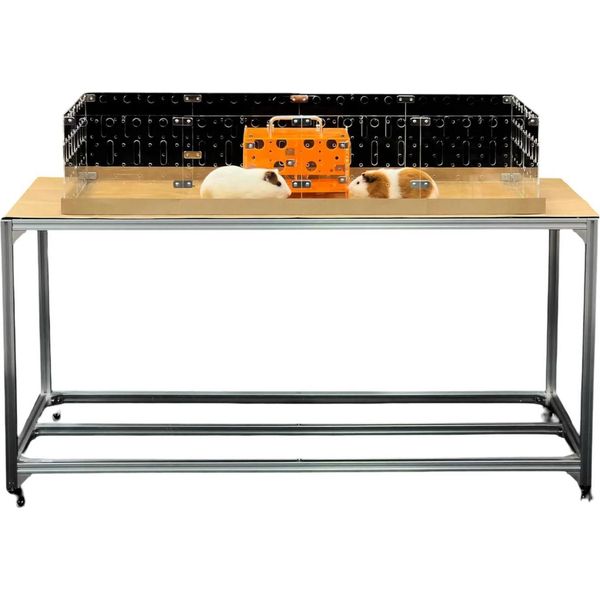 Gabbia In Acrilico Guinealoft Per Cavie E Conigli 122X61 Cm-image