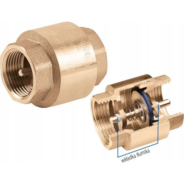 Perfexim | Valvola Di Non Ritorno 2 1/2" DN65 - Ottone - Rinforzata - Durevole E Robusta"-image