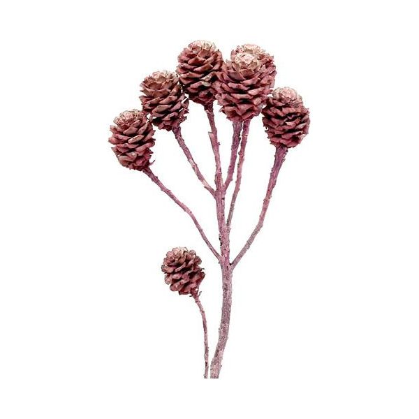 Salignum Mini Coni Smerigliati Color Mora Rami Decorativi 25 Pezzi Per Fiori Secchi E Corone Funebri-image